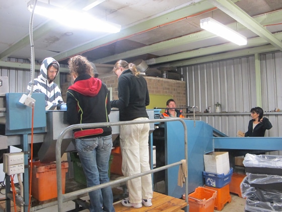 10_Fruit-Picking-Adelaide
