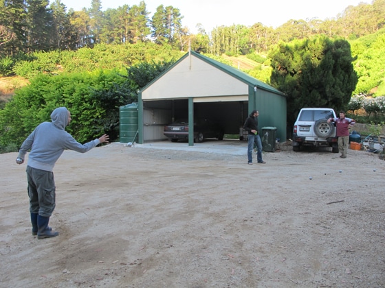 11_Fruit-Picking-Adelaide