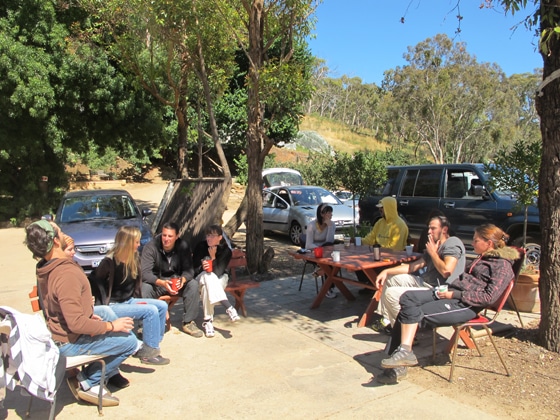 4_Fruit-Picking-Adelaide