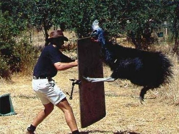 16_Reasons not going to Australia