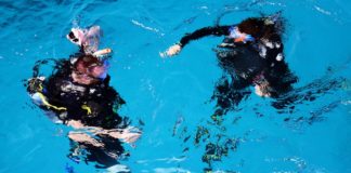 So findest Du die perfekte Great Barrier Reef Tour