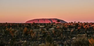 Nordaustralien: Die besten Spots & Highlights