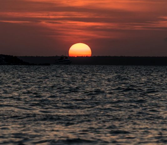 Die besten Tipps für Darwin