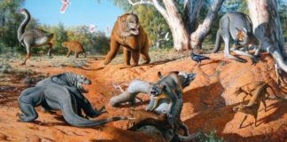 Tiere in Australien: Die unglaublichen Giganten der Urzeit