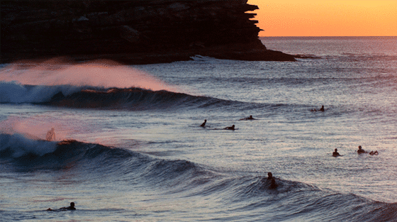 Surfen in Sydney Osten