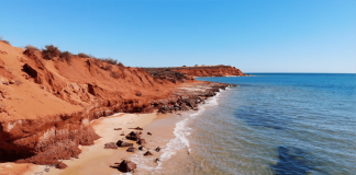 Von Perth nach Broome: zwischen Wüste und türkisfarbenem Wasser (Westaustralien)