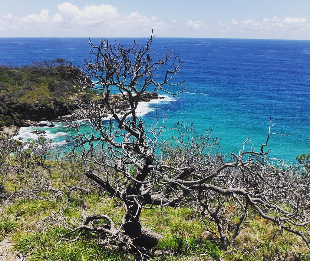 Noosa 1