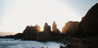 Phillip Island, die Pinguininsel