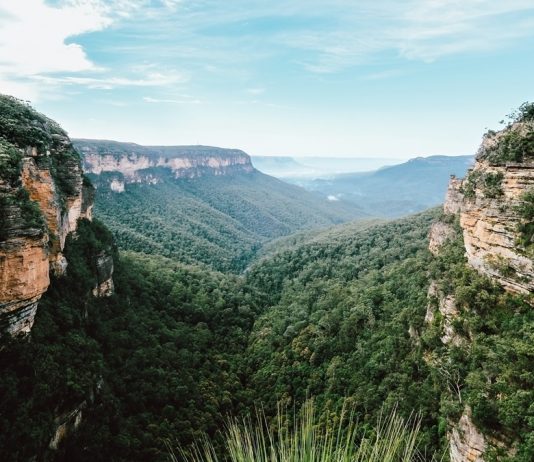 Blue Mountains National Park: Der Guide