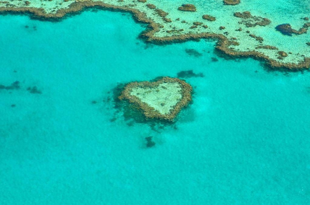 Great barrier reef