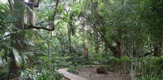 7 unglaubliche Orte in Far North Queensland must sees far north queensland