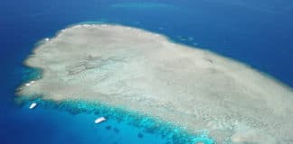 Great Barrier Reef – Alle Infos auf einen Blick