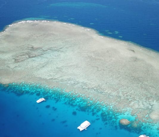 Great Barrier Reef – Alle Infos auf einen Blick