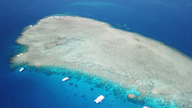 Great Barrier Reef – Alle Infos auf einen Blick Great Barrier Reef – Alle Infos auf einen Blick