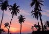Roadtrip von Brisbane nach Cairns: Die perfekte 15-tägige Reiseroute