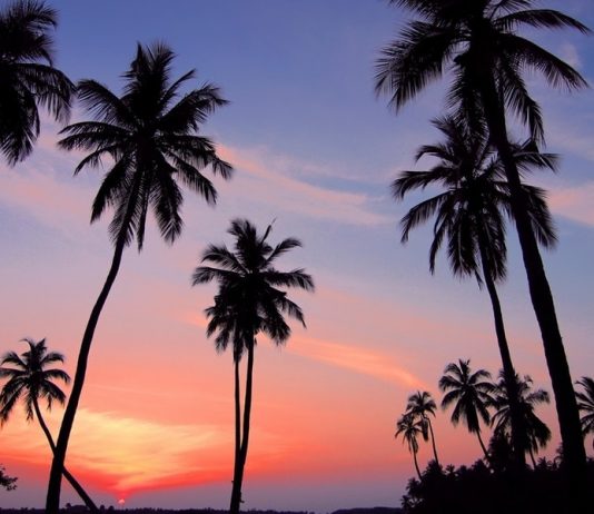 Roadtrip von Brisbane nach Cairns: Die perfekte 15-tägige Reiseroute