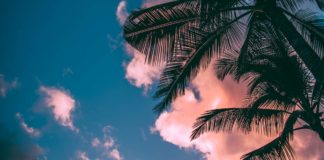 Jahreszeiten und Klima in Australien klima australien