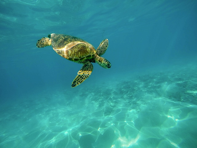 Whitsunday islands
