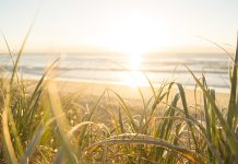 Die besten Sehenswürdigkeiten an der Sunshine Coast
