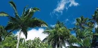 Wohnmobil & Camper in Cairns mieten cairns-australien