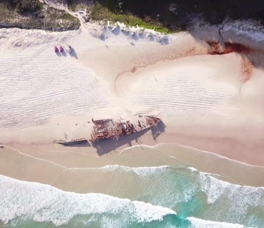 Fraser Island (K’gari) Trip: Der ultimative Reiseführer & Tipps fraser island