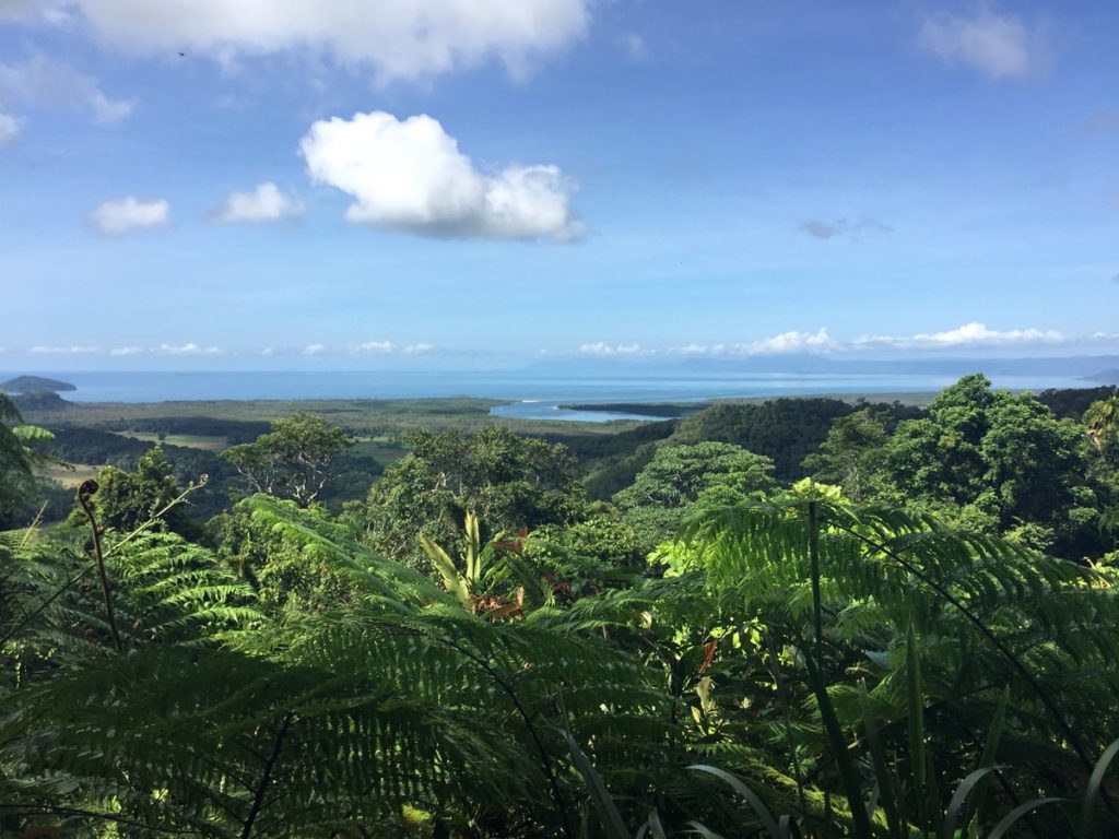 Daintree national park