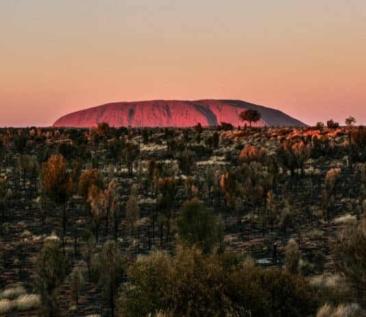 Besuche Ayers Rock (Uluru) – Der heilige Felsen Australiens